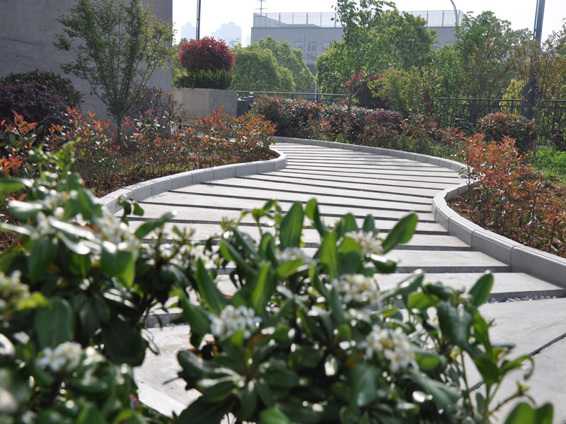 首页 - MG电子官方网站