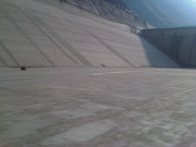 首页 - MG电子官方网站