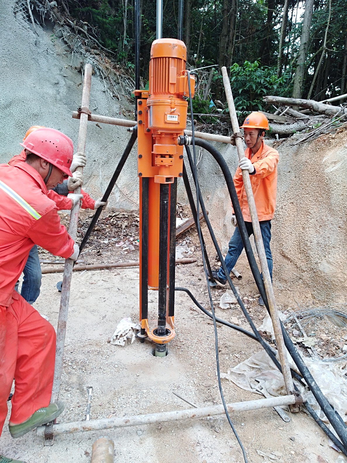 首页 - MG电子官方网站