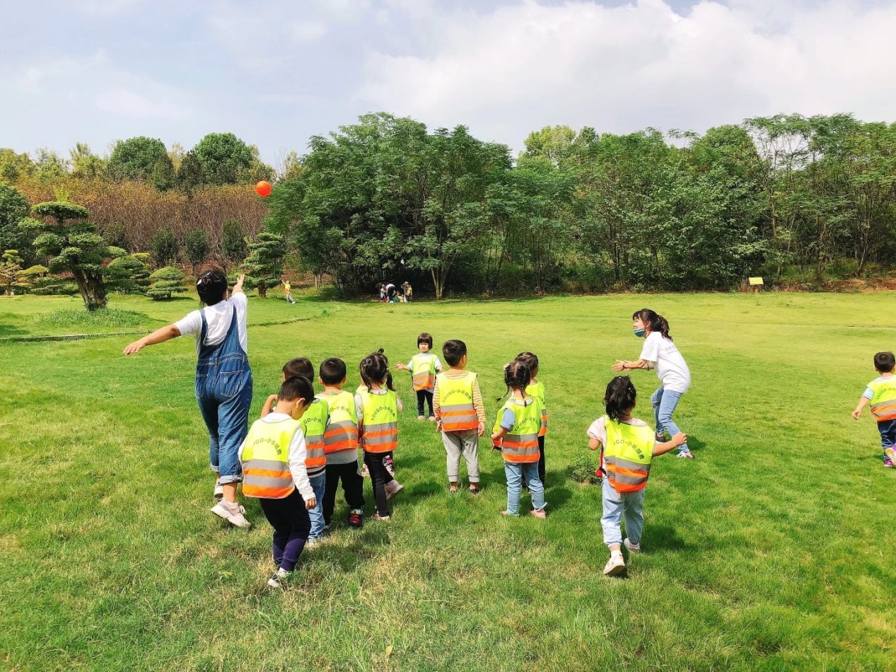 首页 - MG电子官方网站