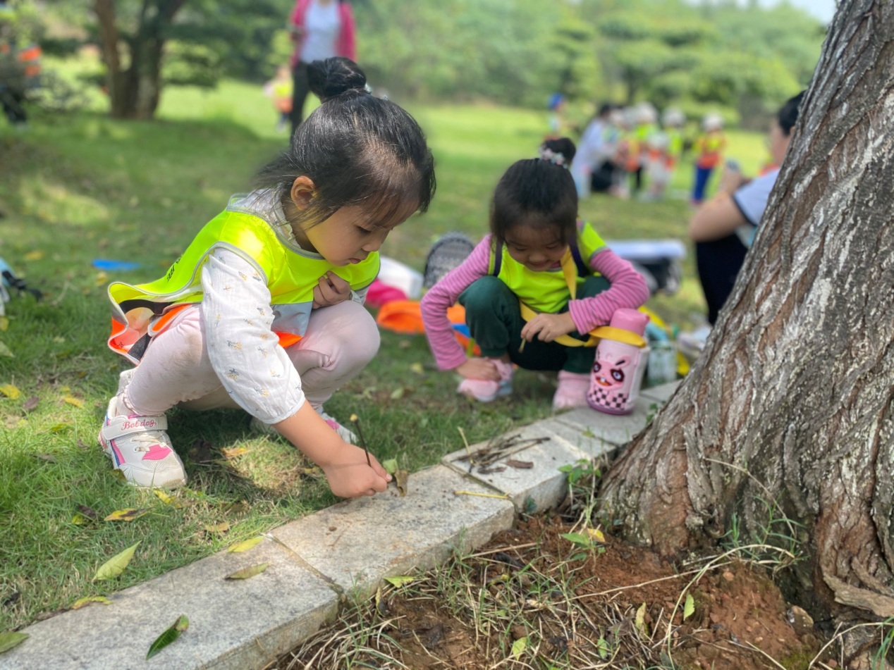 首页 - MG电子官方网站