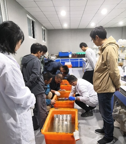 首页 - MG电子官方网站