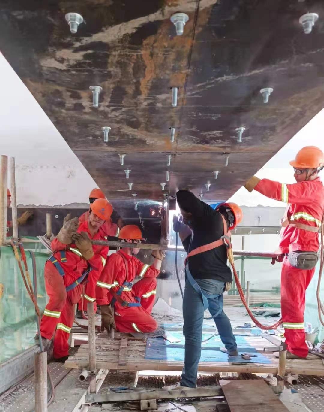 首页 - MG电子官方网站