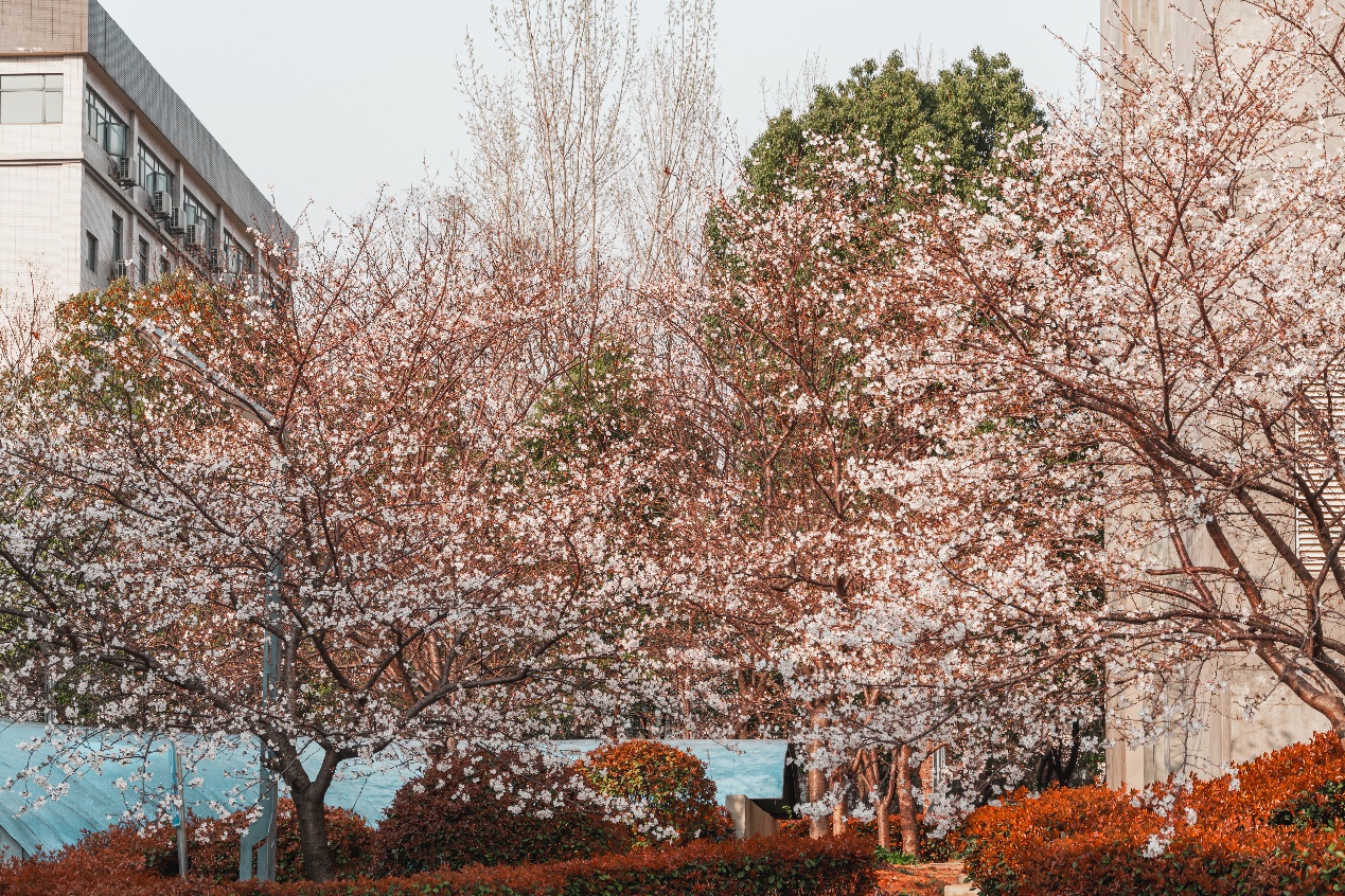 首页 - MG电子官方网站