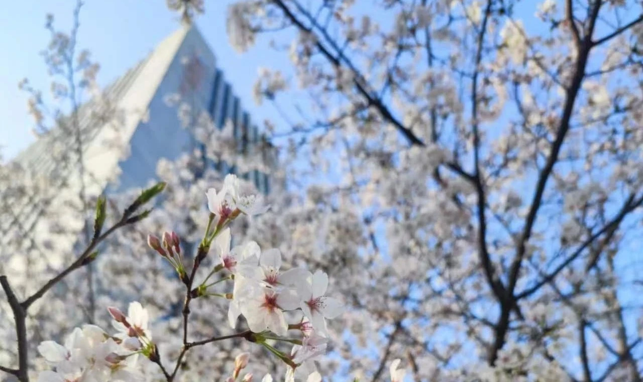 首页 - MG电子官方网站